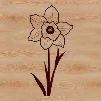 A close-up illustration of a single daffodil flower with yellow trumpet-shaped blooms and green leaves.
