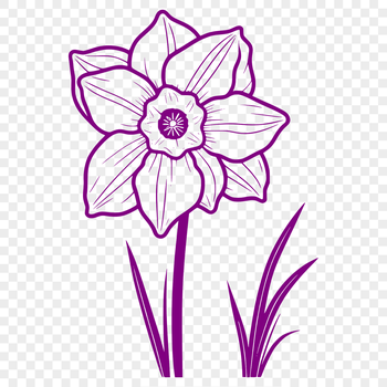 A realistic illustration of a daffodil flower, suitable for vector art designs.