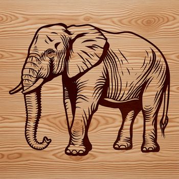 A realistic illustration of an elephant standing on its hind legs, suitable for vector graphics and cutting machines.