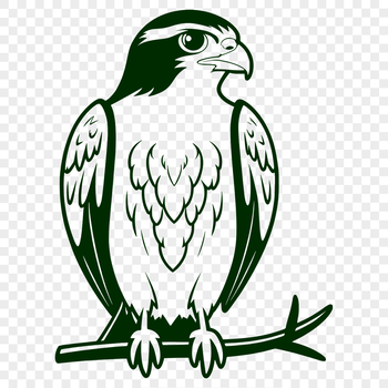 A detailed illustration of a Falcon in flight, with a minimalist design.