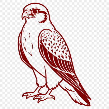 Illustrative vector art of a falcon bird in flight, suitable for commercial or personal use.