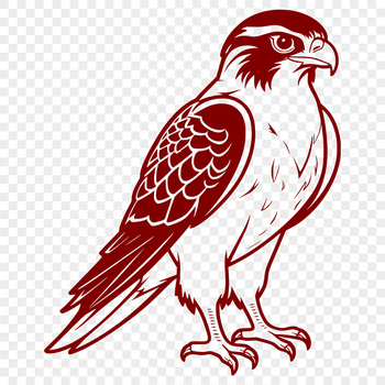 Vector illustration of a falcon in flight, suitable for digital cutting machines and laser engraving.