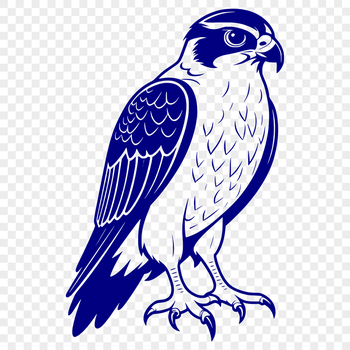 Vector graphic of a bird of prey soaring through the air.