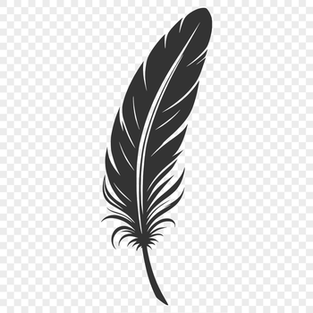 A single feather isolated on a white background.