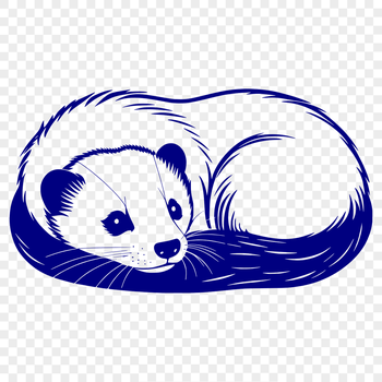 A sleeping ferret in a relaxed pose.