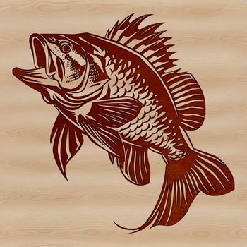 A detailed illustration of a crappie fish with realistic features.