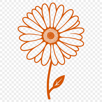 A simple illustration of a white daisy flower with yellow petals on a transparent background.