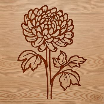 An SVG vector graphic of a single Chrysanthemum plant, suitable for various digital designs.