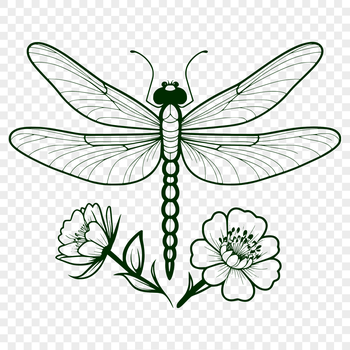 An illustration of a dragonfly perched on a floral background.