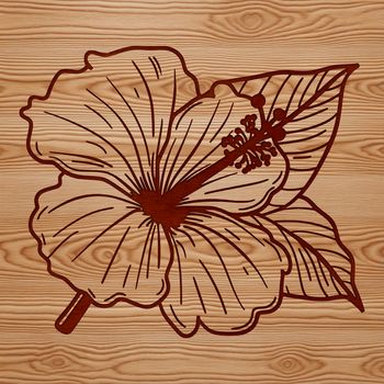 A large, tropical hibiscus flower with layered petals in shades of pink and orange, ideal for gardening and floral designs.