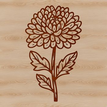 A detailed illustration of a single chrysanthemum flower, highlighting its petals and center.