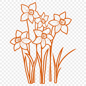 Illustrated daffodil flower in vector format.