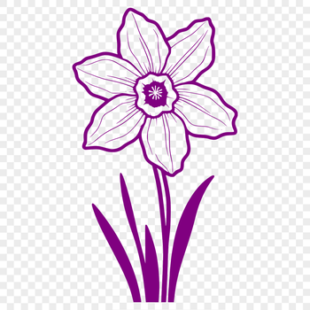 A bright yellow daffodil flower with white trumpet-shaped center, suitable for vector design and clip art.