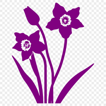 A white and yellow daffodil flower with trumpet-shaped petals, suitable for digital design and cutting machines.