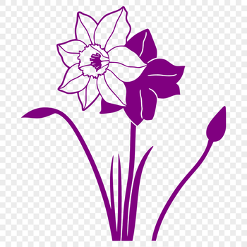 A digital illustration of a blooming daffodil plant in a graphic design format.