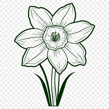 A digital illustration of a daffodil flower in high resolution, suitable for various applications.