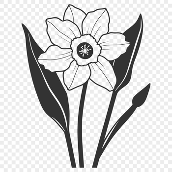 A vector illustration of a bright yellow daffodil flower with green stem and leaves.