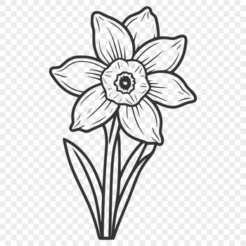 A colorful illustration of a blooming daffodil plant with long green stem and trumpet-shaped yellow flowers.
