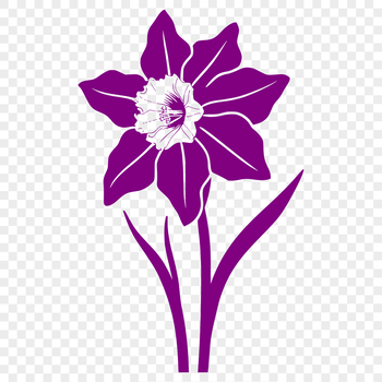 A detailed illustration of a single daffodil flower against a white background.