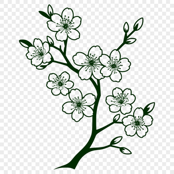Illustrative vector art of a blooming cherry blossom plant with pink petals.