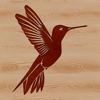 Close-up illustration of a hummingbird's face and body, showcasing its iridescent feathers and sharp beak.