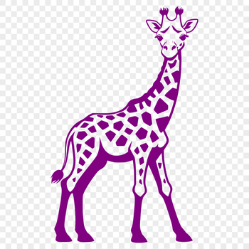 A single giraffe standing in a grassland environment.