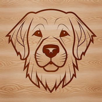 Vector illustration of a Golden Retriever dog's head, suitable for digital design.