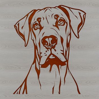 Large breed dog illustration with distinctive head shape.