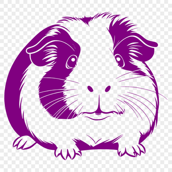 A high-quality vector illustration of a guinea pig, suitable for digital designs.
