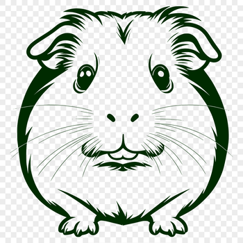 A digital illustration of a Guinea Pig, suitable for various design applications and projects.