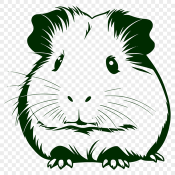 A detailed SVG illustration of a guinea pig, suitable for vector art designs.