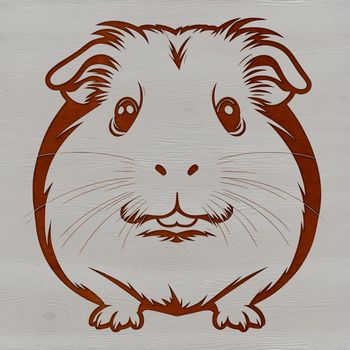 An illustration of a Guinea Pig, a popular small pet animal.