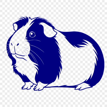 Guinea pig illustration in vector format.