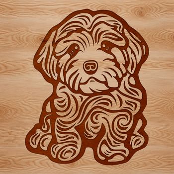 A sitting Havanese dog breed with a friendly expression.