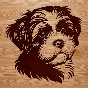 A portrait illustration of a small, fluffy Havanese dog with a sweet expression.