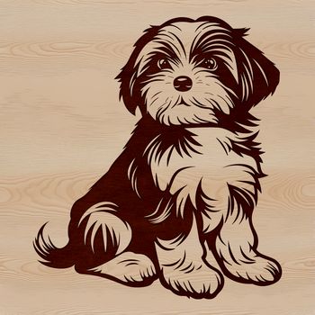 A small, fluffy white dog with brown ears sitting on a surface.