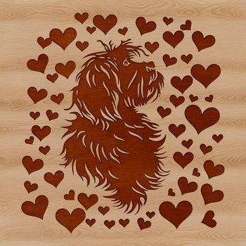 Close-up illustration of a happy Havanese dog's head with love hearts surrounding it.