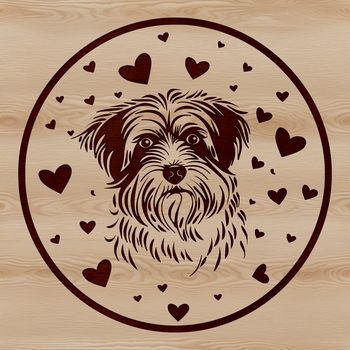 A vector graphic design featuring a Havanese puppy with hearts integrated into its outline or fur.