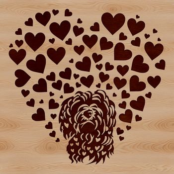 A smiling Havanese dog with love hearts surrounding its head.