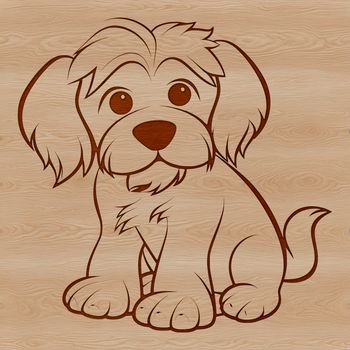 Close-up portrait of a sitting Havanese dog with expressive eyes and fluffy fur.