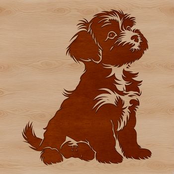 A small breed dog with silky fur and floppy ears sits on its haunches.
