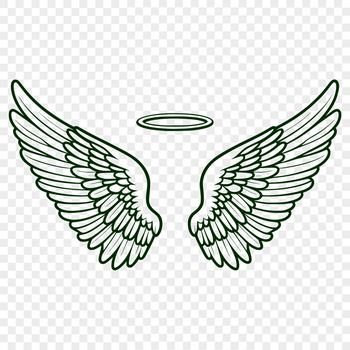 A pair of intricately designed angel wings with a subtle halo effect.