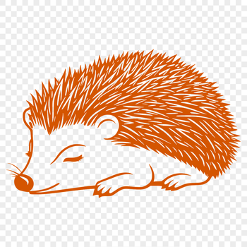 Illustrative hedgehog graphic with detailed texture and outline.