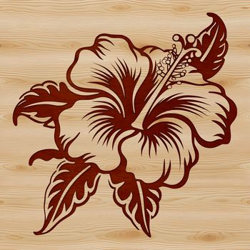 A detailed illustration of a hibiscus flower with intricate petals and center details.