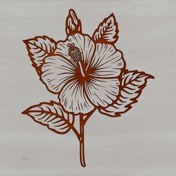 An isolated vector design of a single hibiscus flower in bloom, suitable for crafting and design projects.