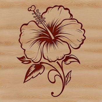 A stylized illustration of a hibiscus flower with large, showy blooms and green foliage.
