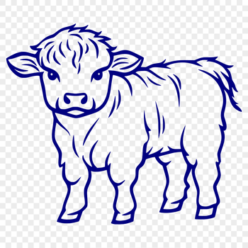 Highland cow standing in a green pasture, vector illustration.