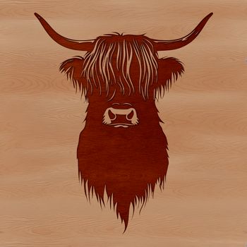A large, shaggy-coated Highland cow standing in a green meadow.