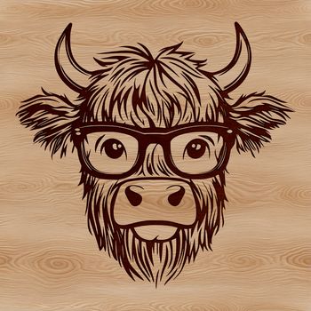 Close-up illustration of a Highland cow's head featuring its characteristic markings and fur texture.