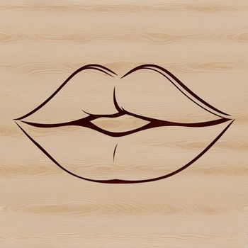 A detailed illustration of human lip anatomy, suitable for educational or professional use.